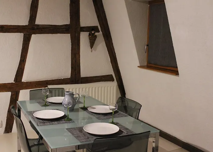 Nana's アパート コルマール